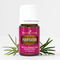 PURIFICATION -Great for Bug Bites
